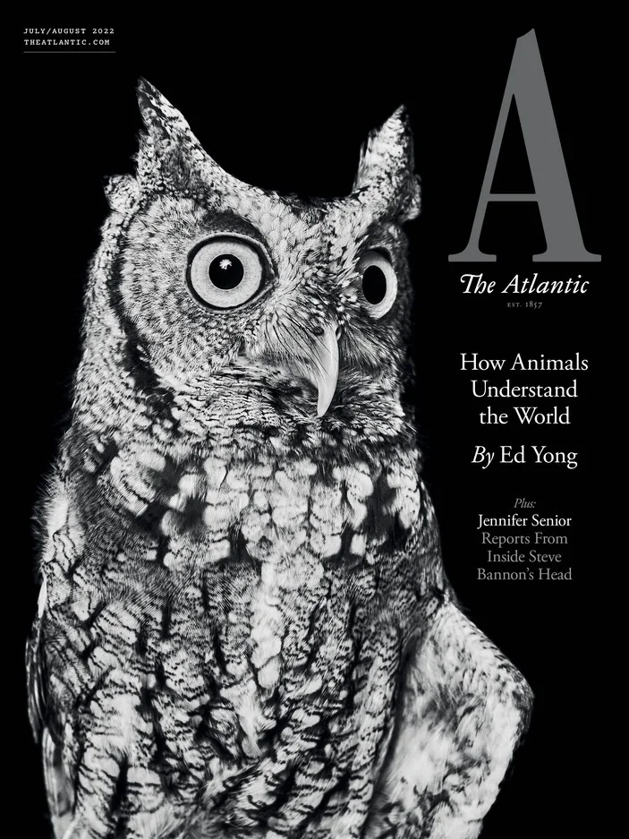 开元棋牌app-里昂客战亚冷战，失势已久两回合两弟城